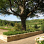 Villa Capanna Cerreto